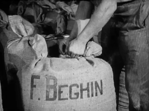 Image d’archive : un ouvrier ferme un sac de sucre marqué F. Béghin